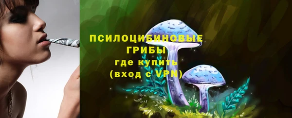 дживик Балахна