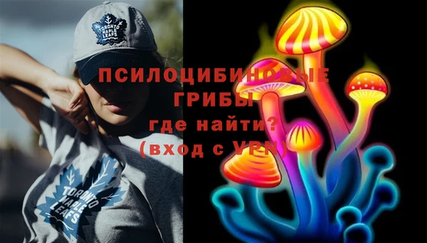 Альфа ПВП Баксан