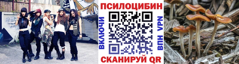 наркошоп  Красный Холм  Псилоцибиновые грибы Magic Shrooms 